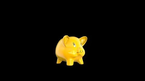 Yellow pig animation Stock Footage 100068785