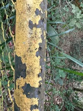 Yellow Pillar with Worn Paint Stock Photos