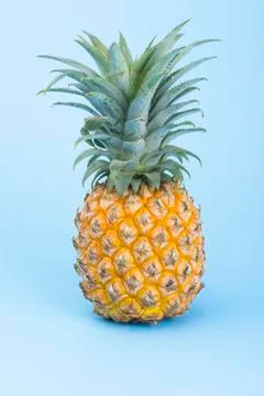 A yellow pineapple isolated on blue. Creative tropical fruit concept Stock Photos