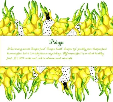 Yellow pitahaya rectangle frame Stock Illustration