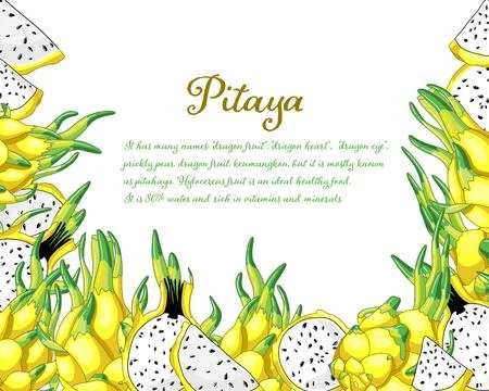 Yellow pitaya frame Stock Illustration