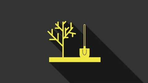 Yellow Planting a tree in the ground icon isolated on grey background. Gardening Stock Footage 147696733