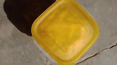 Yellow Plastic Box used for storing food Stock Footage 322039912