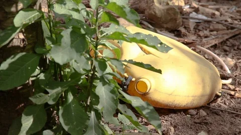 Yellow Plastic Can Trash Abandoned Next to Green Plant Stock Footage 110338798