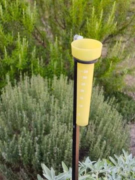 Yellow plastic rain gauge installed in a green herb garden 库存照片