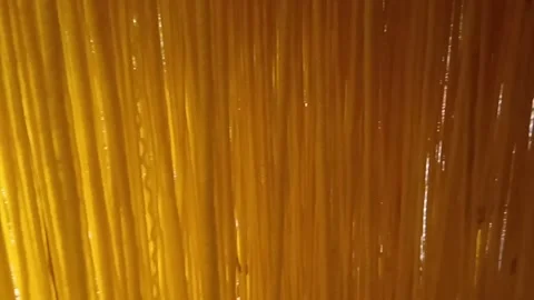 Yellow plastic rope dangling to form a curtain Stock Footage 235575789