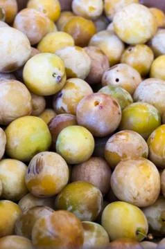 Yellow plum isolated Stock Photos