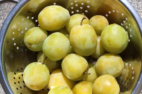 Yellow plum Stock Photos