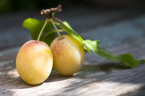 Yellow plums on a table Stock Photos