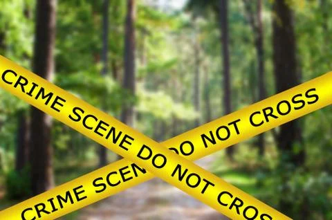 Yellow police tape with sign text: crime scene do not cross on scary forest b Stock Photos