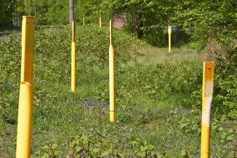 Yellow post Stock Photos