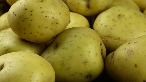 Yellow potato lies on a table close-up Stock Footage 126764616