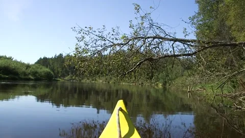 Yellow Prow of a Canoe Boating on a River Through Forest, Goes Under Fallen Tree Stock Footage 285144236
