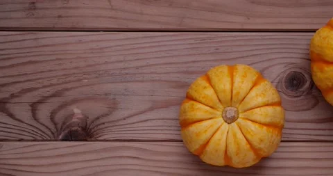 Yellow Puccini pumpkin Vídeo Stock 206331634