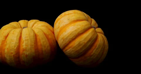 Yellow puccini pumpkin Stock Footage 211588113