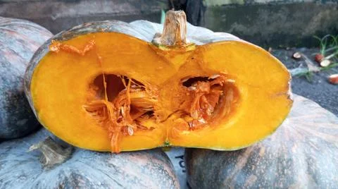 Yellow pumpkin cut in half Stock-Fotos