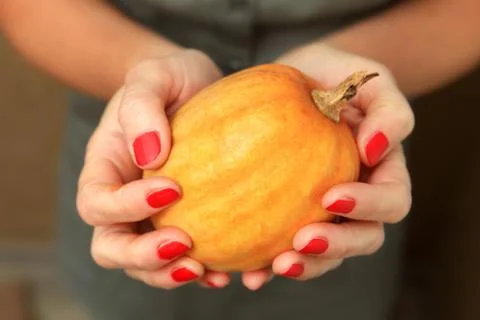 Yellow pumpkin in hands Stock Photos