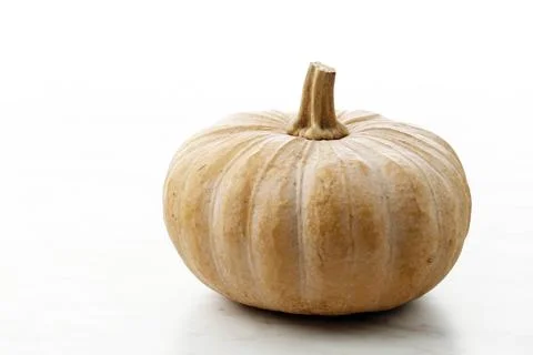 Yellow Pumpkin or Labu Kuning or Waluh (Cucurbita moschata Durch) Stock Photos