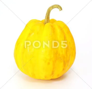 Yellow pumpkin Stock Photos