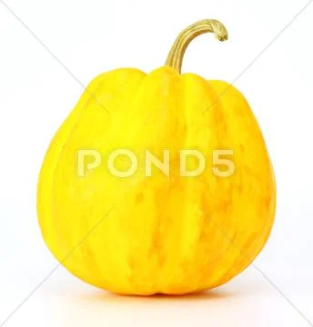 Yellow pumpkin Stock Photos