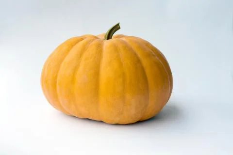 Yellow Pumpkin Stock Photos