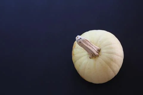 Yellow pumpkin Stock Photos