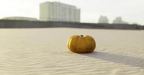 Yellow pumpkin resting on sandy surface near urban buildings during sunset Ilustración de archivo