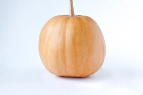 Yellow pumpkin on white background close up . Photos