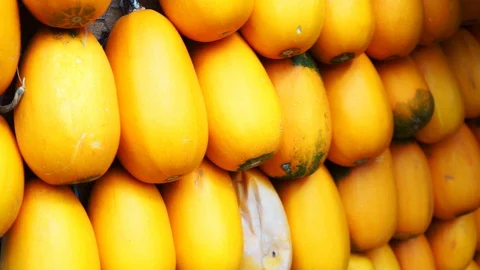 Yellow pumpkins next to each other Stock Footage 118229657