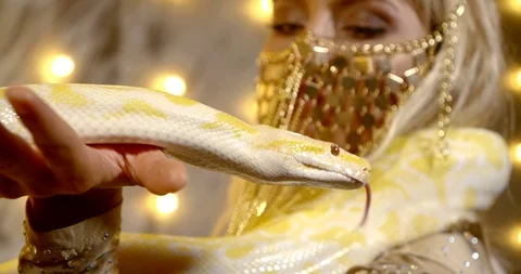 Yellow python is moving tongue on hands of young pretty woman, closeup view Video stock 118694402