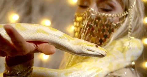 Yellow python is moving tongue on hands of young pretty woman, closeup view Photos