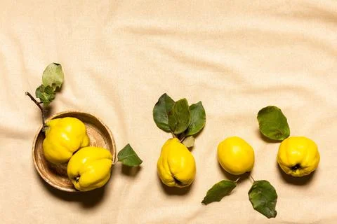 Yellow quince apples on linen with copy space Stock Photos