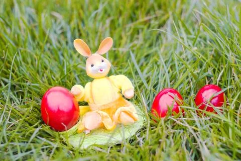 Yellow rabbit and red easter eggs hidden in the grass Stock Photos