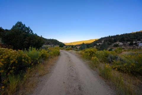 Yellow Rabbitbrush Lines Path to Virgin River Foto stock