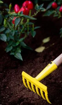 Yellow rake Stock Photos