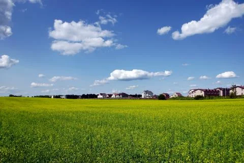 Yellow rape field in spring and countryside houses Stock Photos