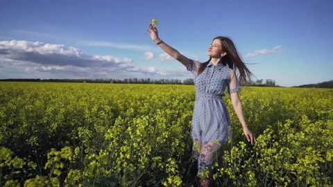 Yellow rape flower Stock Footage 134251589