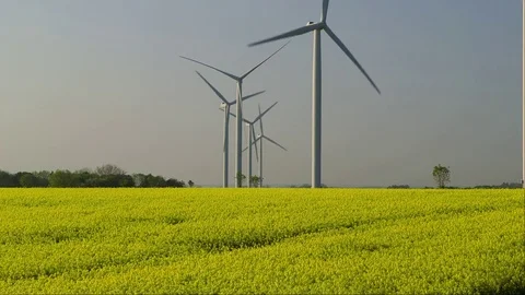 YELLOW RAPE SEED WIND TURBINES LISSETT YORKSHIRE Stock Footage 70704797