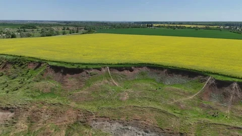 Yellow Rapeseed Field on Eroded Cliff Edge ,Aerial View of Agricultural Land Video stock 312254455