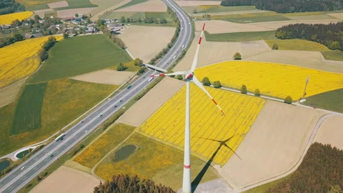 Yellow rapeseed field panorama with wind turbine or wind wheels along the Stock Footage 197808331