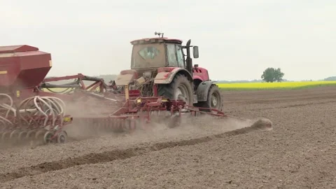 Yellow rapeseed field. Spring field works. Video stock 102040023