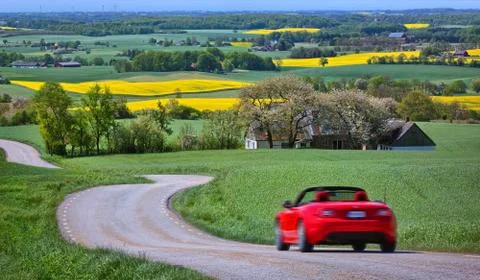 Yellow rapeseed fields and a red car Foto stock