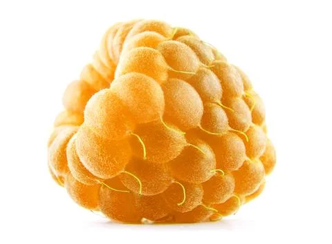 The yellow raspberry berry is isolated on a white background. Full clipping.. Stock Photos