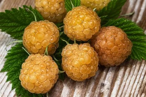 Yellow raspberry on a table Stock Photos