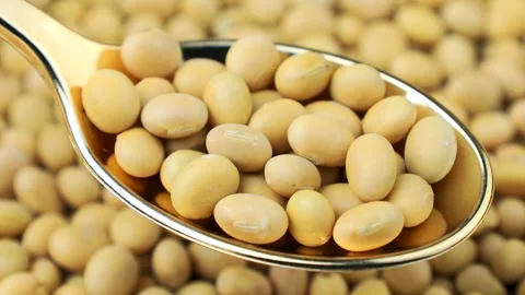 Yellow raw soy beans in the spoon with circle background rotation close up Stock Footage 303915175