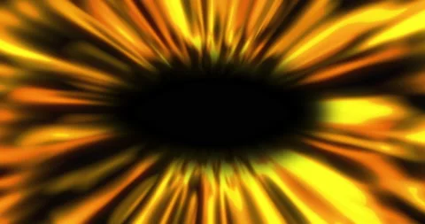 Yellow rays going to the dark center. Live sunflower Stock Footage 239715129