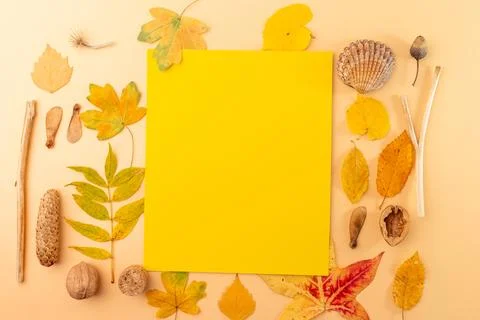 A yellow rectangular sheet of paper placed in the center of a beige backgro.. Foto stock