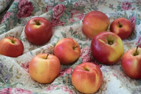 Yellow red apples Foto stock