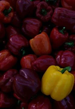 Yellow in red capsicum Foto stock