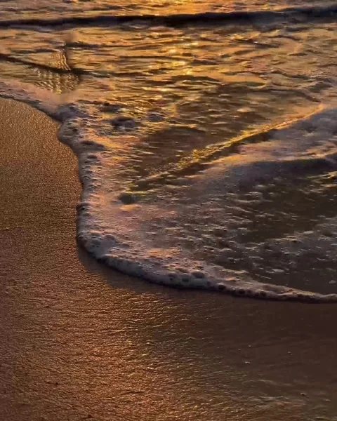 Yellow-red waves wash the sandy shore of the resort, sea, sunset Stock Footage 242608679